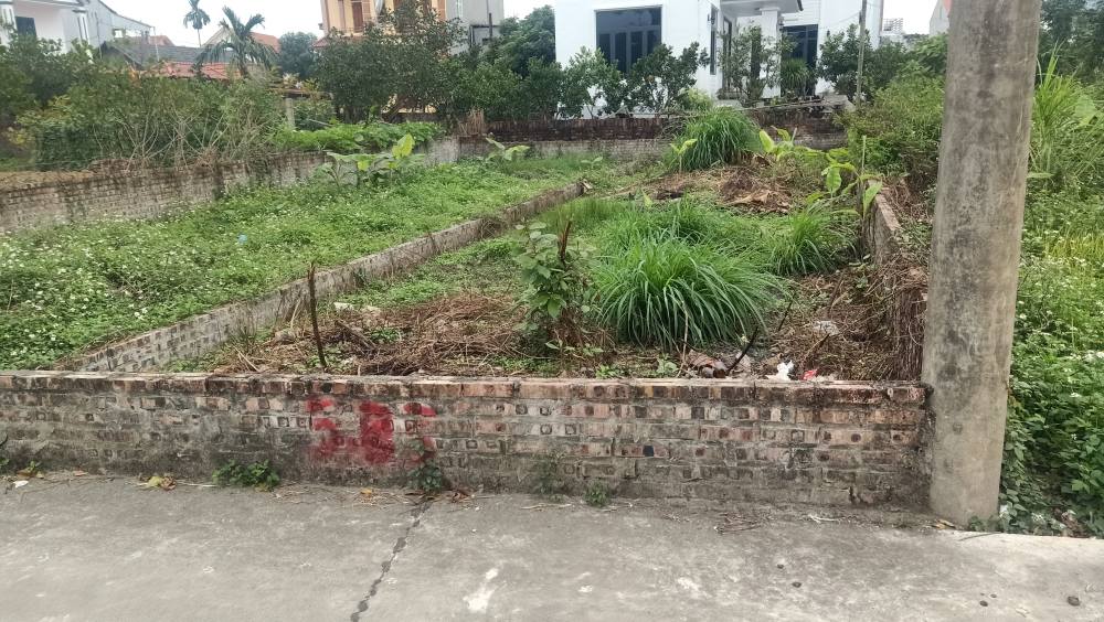 Đất Tiến Thắng Mê Linh 79m² giá 4.3 tỷ - Ô tô vào tận cửa, đầu tư lý tưởng!