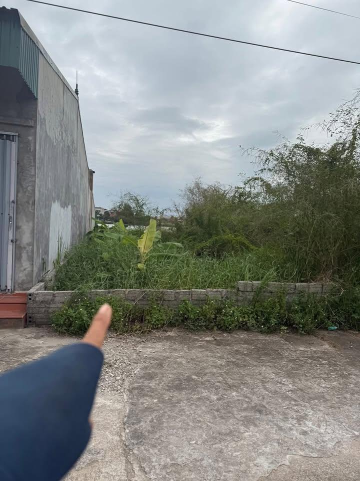 Đất thổ cư 125m² thôn Văn Trai Thượng, Phượng Dực, 12.5 tỷ - Kinh doanh thuận lợi!