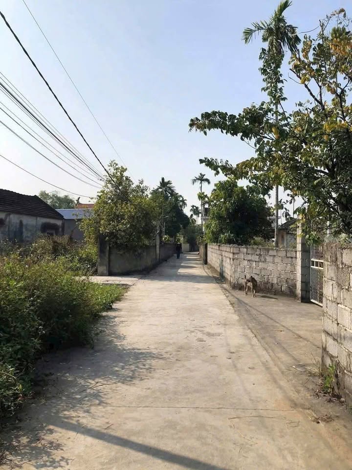 Đất nền TDC Hầu - Thiên Hương 66m² giá 1,2 tỷ - Vị trí đẹp, tiện ích đầy đủ!