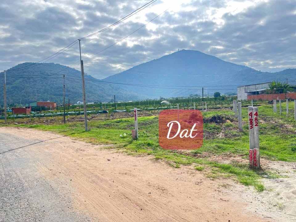 Đất nền Thạnh Trung Tây Ninh 520m² giá thỏa thuận - Sổ hồng chính chủ, thuận tiện xây dựng!