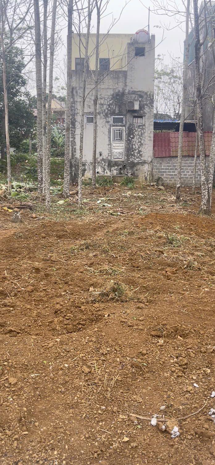 Đất nền B32 Nam Sơn, Tam Điệp 100m² giá 1.1 tỷ - Cần bán gấp!