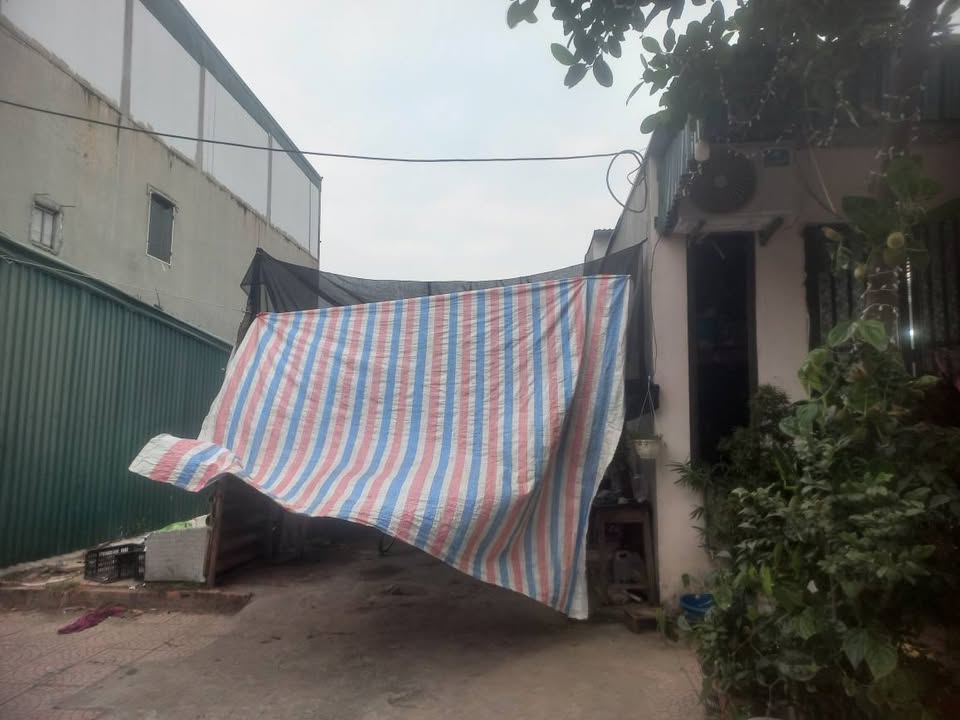 Đất nền Hợp Thịnh, Tam Dương 100m² giá 2.5 tỷ - Đầu tư sinh lời ngay!