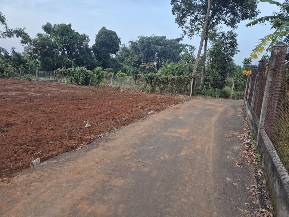 Đất nền Hòa Long 245m² giá 1.9 tỷ - Sổ đỏ chính chủ, vị trí đẹp!