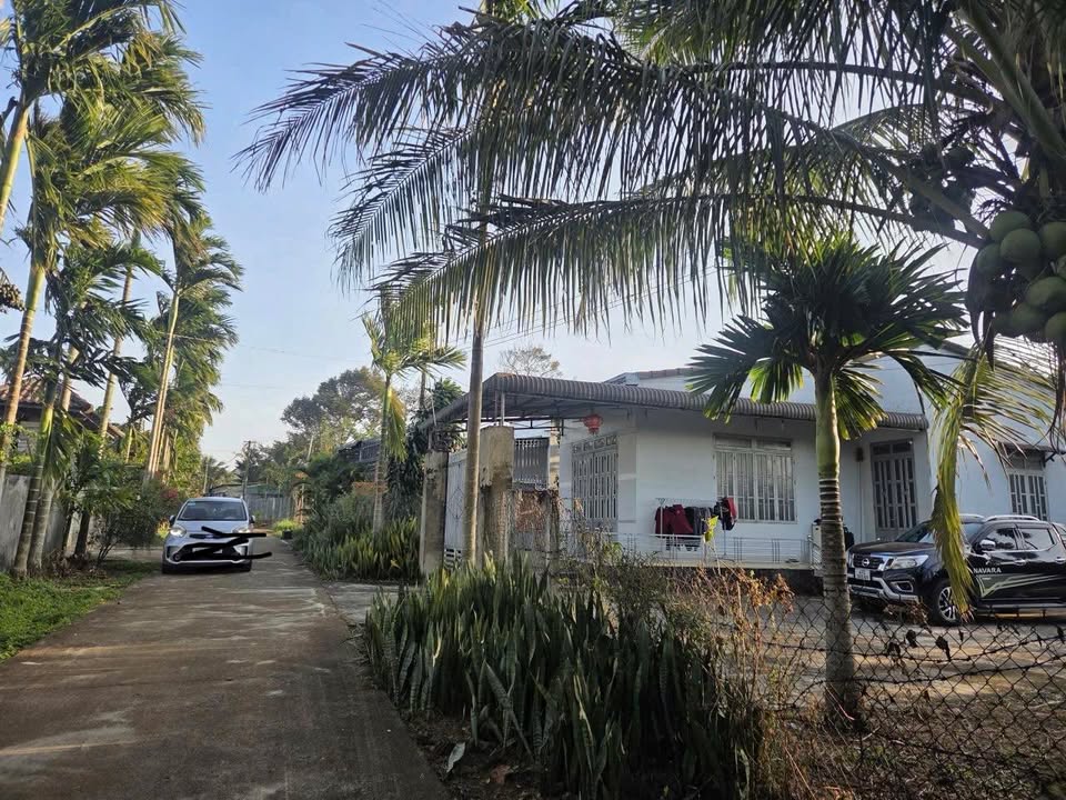 Đất nền Ea Kao 210m² giá chỉ 680 triệu - Cơ hội vàng cho đầu tư!