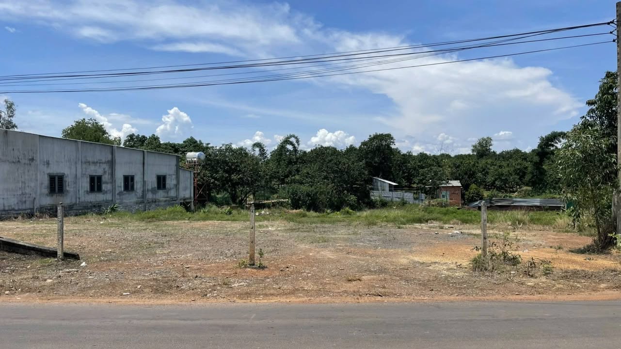 Đất mặt tiền đường nhựa 101 La Ngà, Định Quán 1890m² giá 3.5 tỷ - Cơ hội đầu tư tuyệt vời!