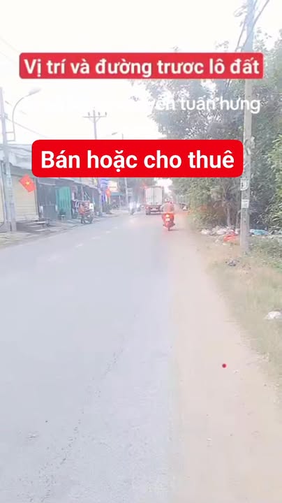 Lô đất mặt tiền Đoàn Nguyễn Tuấn, Bình Chánh 225m² giá 6.55 tỷ - Tiềm năng sinh lời cao!