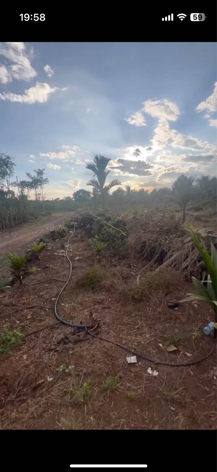 Đất nền Tà Lài, Tân Phú 37.000m² giá 1 tỷ - Cơ hội đầu tư hấp dẫn!