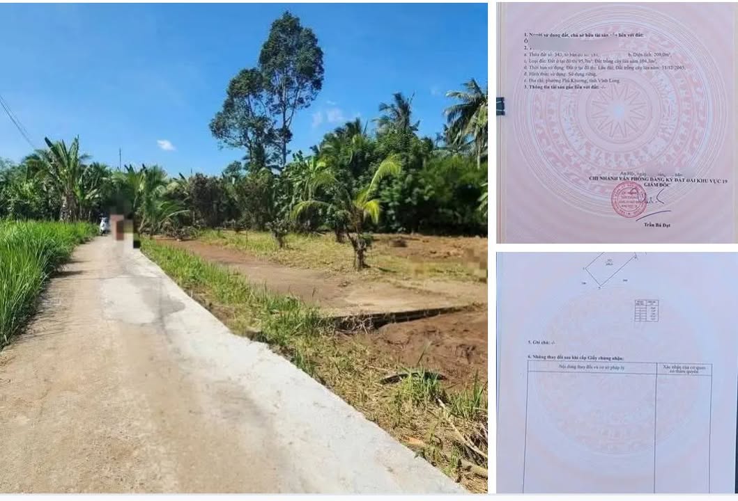 Đất nền Nhơn Thạnh Bến Tre 200m² giá 450 triệu - Cơ hội đầu tư hấp dẫn!