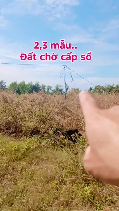 Đất nền đẹp 2,3 mẫu tại Thanh Sơn, Tân Phú - Giá chỉ 2,5 tỷ VND!
