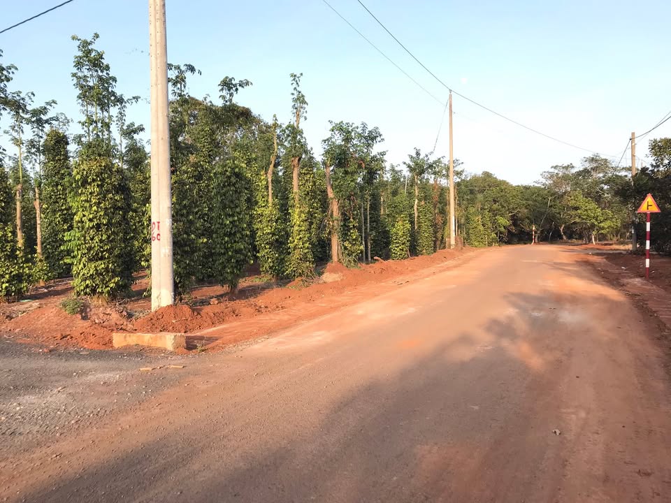 Đất 2 mặt tiền xã Bàu Lâm Xuyên Mộc 1267m² giá chỉ 1.55 tỷ - Pháp lý rõ ràng!