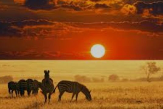 Đất thổ cư Bình Chánh 300m² giá 1.35 tỷ - Đầu tư thông minh với dãy trọ 10 phòng