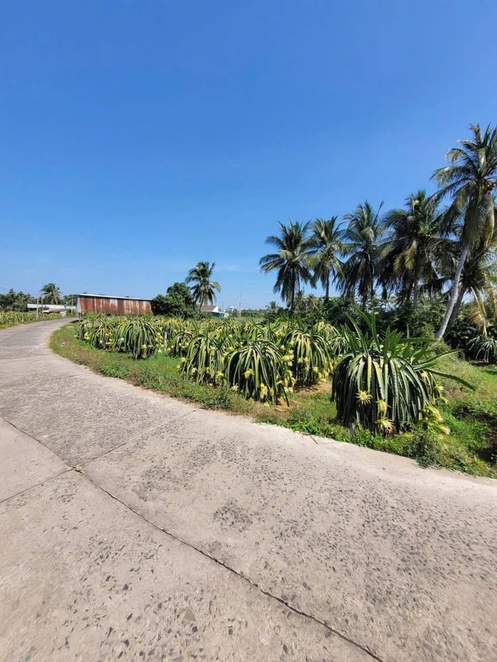 Đất thổ cư 408m² thôn Phú Sơn, Bình Thuận chỉ 1.45 tỷ - Cơ hội đầu tư hấp dẫn!