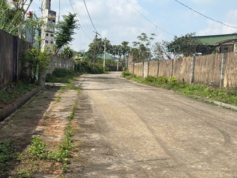 Đất nền Thôn Quý Linh - Thạch Xuân 300m² giá 800 triệu - Đầu tư sinh lời ngay!