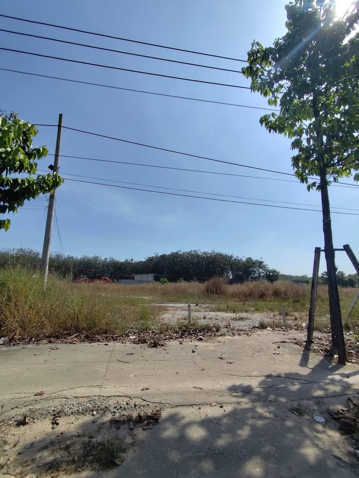 Đất nền mặt tiền đường Mỹ Phước Tân Vạn, Bến Cát 1657m² giá 26.5 tỷ - Cơ hội đầu tư vàng!