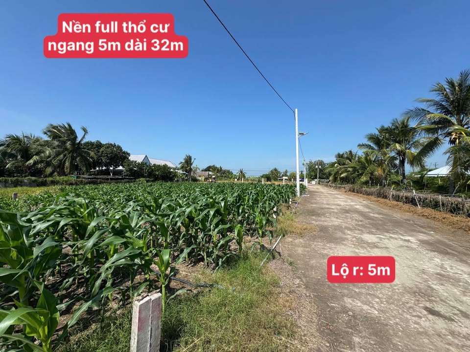 Đất thổ cư Thạnh Lộc An Giang 480m² giá chỉ 570 triệu - Cơ hội đầu tư tuyệt vời!