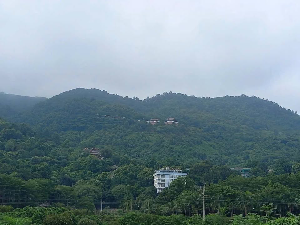 Đất thổ cư 800m² tại Hòa Lạc 4500m² giá 6 tỷ - Đầu tư lý tưởng!