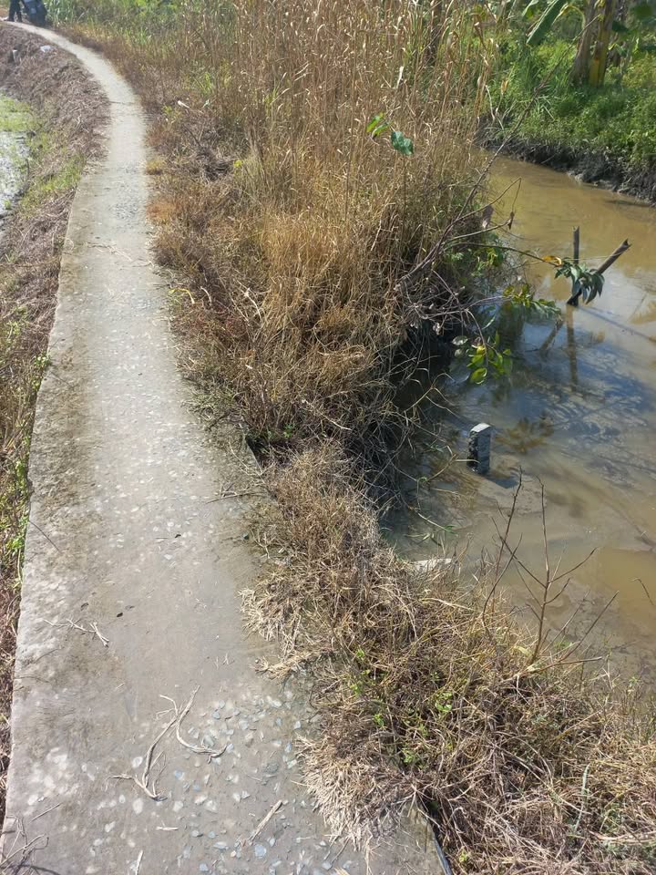 Đất nền Tân Phú, Tam Bình, Vĩnh Long 1226m² giá 330 triệu - Đầu tư sinh lời cao!