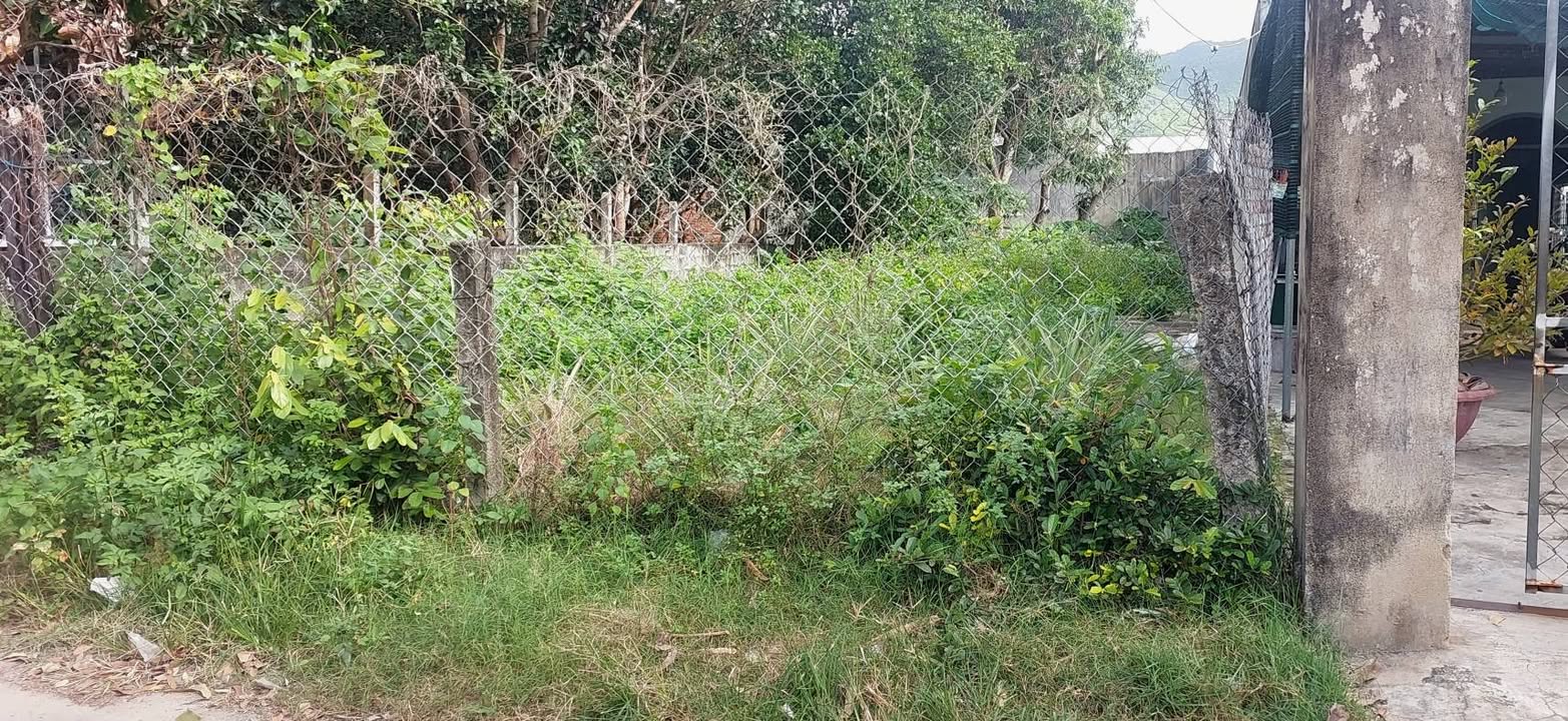 Đất Sổ Hồng 351m² tại Nha Trang - Tiềm năng tăng giá cao!