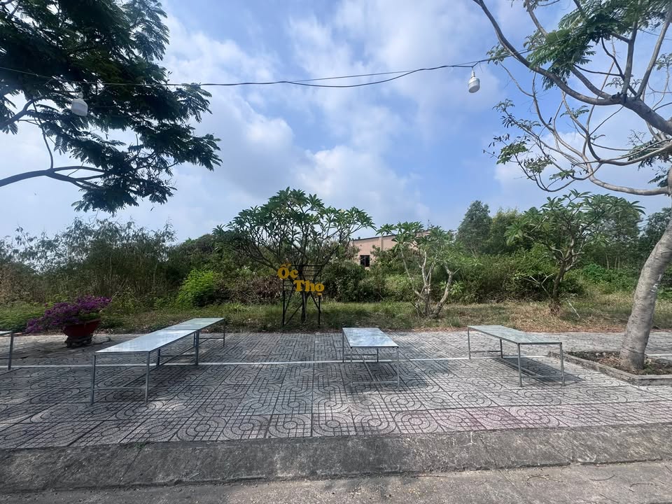 Đất kinh doanh Tân Hòa, Phú Mỹ 100m² chỉ 2 tỷ - Tiềm năng tăng giá cao!