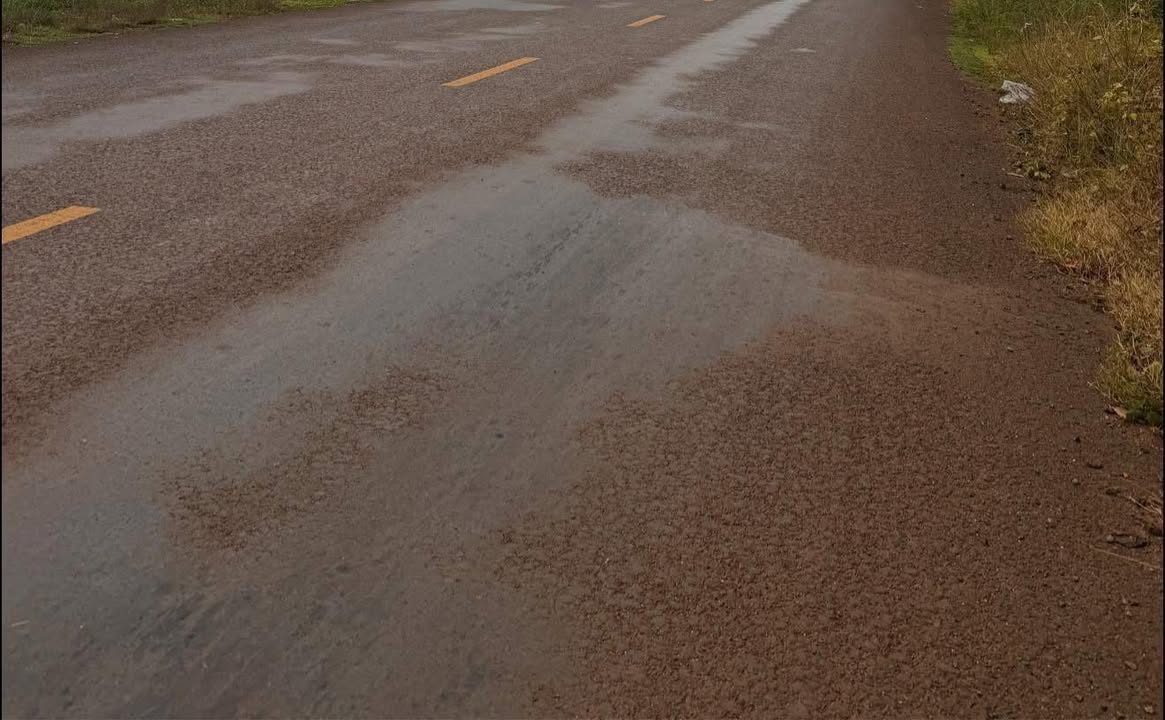 Đất mặt tiền Bù Nho - Phước Tân 30.000m² giá 8 tỷ - Cơ hội đầu tư lý tưởng!