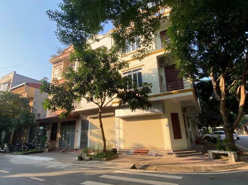 Nhà mặt phố Tôn Thất Tùng Hưng Yên 112,5m² giá 8.212 tỷ - Vị trí đắc địa trung tâm!