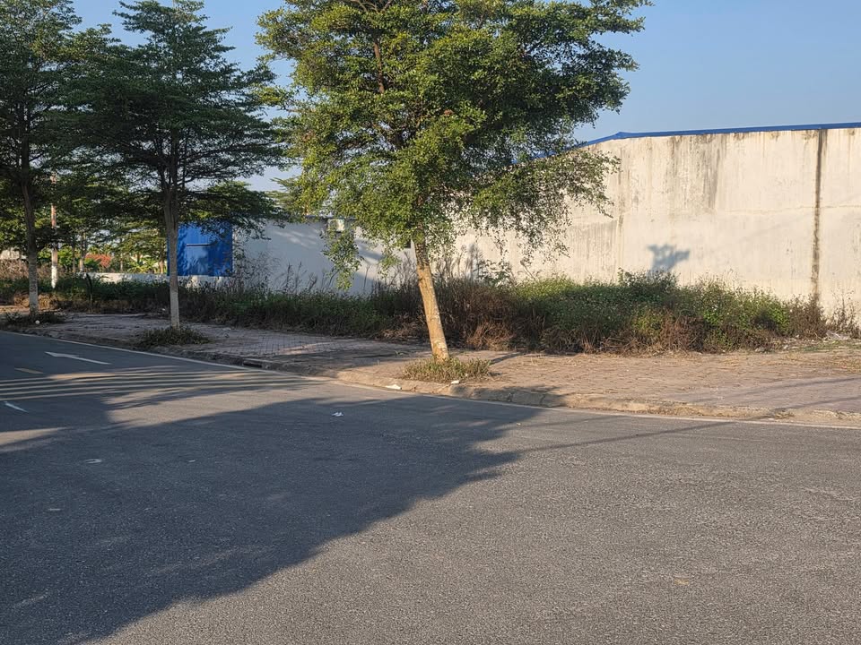 Đất nền Khu dân cư Văn Lý, Hải Hậu 111m² giá 3.8 tỷ - Lô góc đẹp nhất khu!