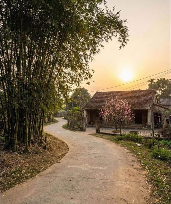 Đất nền hẻm Võ Nguyên Giáp, P. Trương Quang Trọng, 110m² giá 800 triệu - Khu dân cư sầm uất!