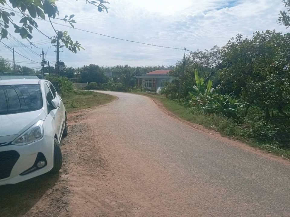 Đất nền Tân Biên Tây Ninh 50m² giá thỏa thuận - Khu dân cư đông đúc