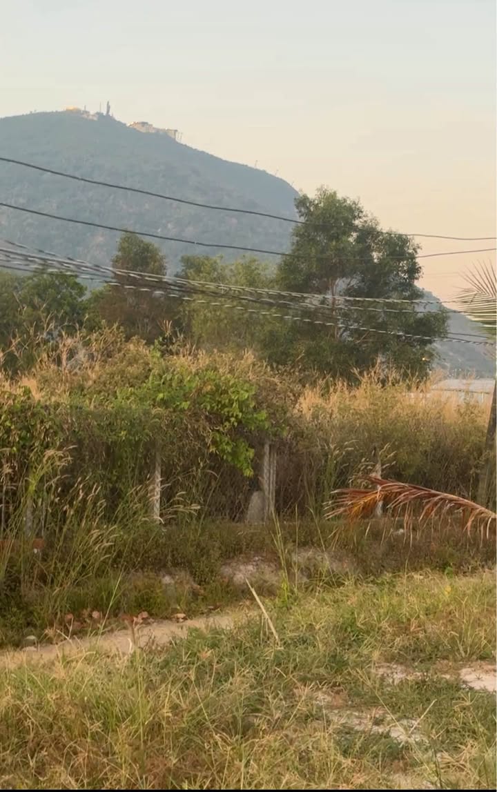 Đất đẹp Phường Ninh Thạnh Tây Ninh 550m² giá 400 triệu - VIEW Núi Bà tuyệt đẹp!