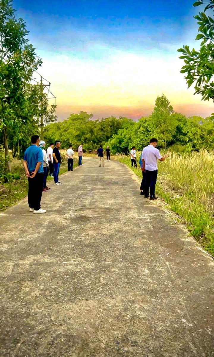 Đất thổ cư 1.000m² tại Đồng Tiến, Đồng Phú - Giá chỉ 290 triệu