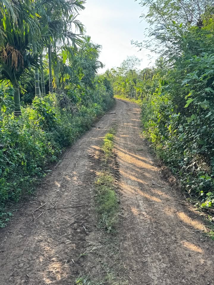 Đất nền Bình Hoà, Buôn Hồ 12.600m² giá 857.5 triệu - Cơ hội đầu tư sinh lời!