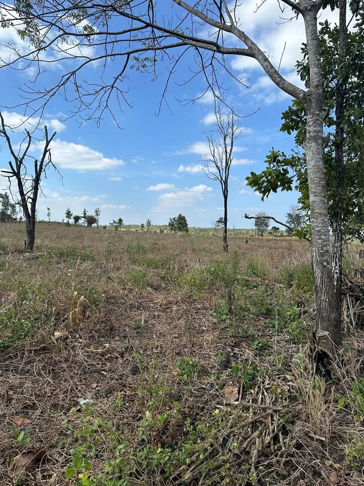 Đất nền chính chủ tại xã Ea Kiết 18.000m² giá chỉ 350 triệu - Cơ hội đầu tư tuyệt vời!