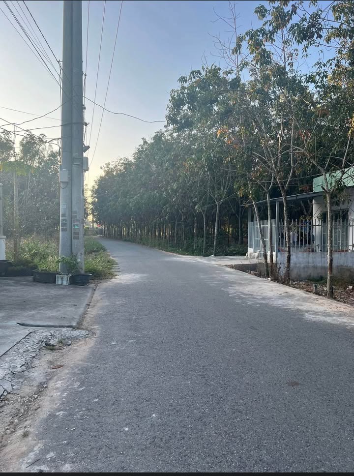 Đất thổ cư Chánh Phú Hòa 200m² giá 1.2 tỷ - Xây dựng tự do, vị trí đẹp!