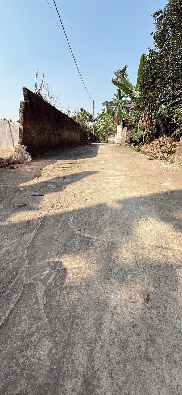 Đất thổ cư 100m² tại Bột Xuyên, Mỹ Đức, Hà Nội - Chính chủ cắt lỗ nhanh!