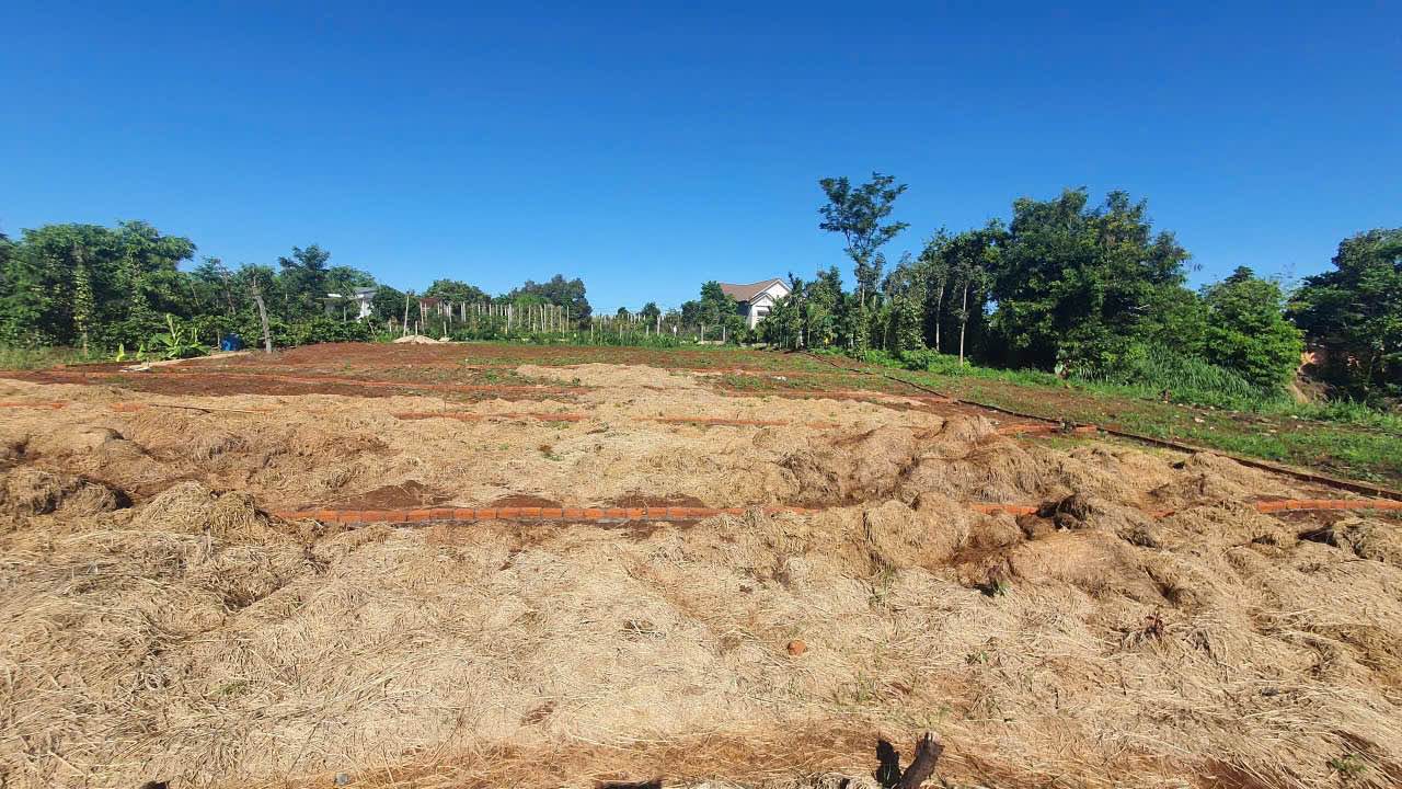 Lô đất Ea Kao - Buôn Ma Thuột 125m² giá 625 triệu - Đầu tư siêu lợi nhuận!