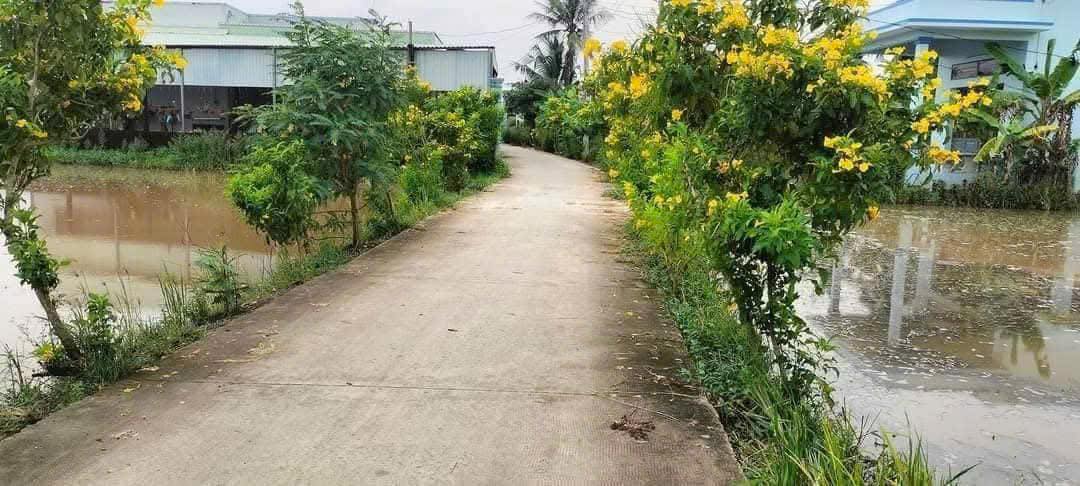 Đất lúa 1400m² xã Phước Lợi, Bến Lức - Giá 1.5 tỷ - Đường 2 mặt tiền