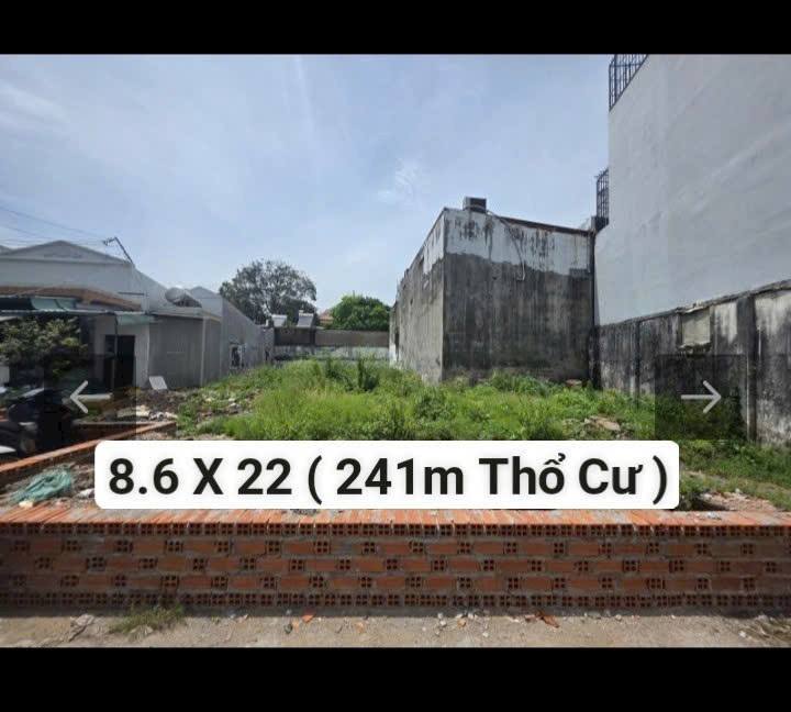 Đất nền 241m² đường 1, P. Cát Lái, Q. 2 - Đầu tư lý tưởng cho khách sạn và văn phòng!