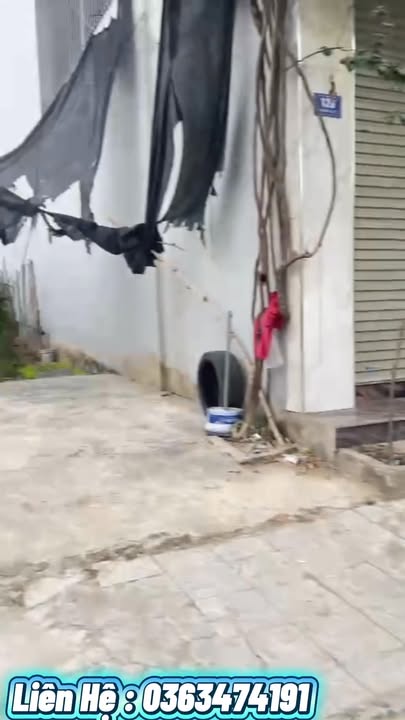 Đất nền Quảng Thọ Sầm Sơn 132m² - Mặt tiền 6m, thổ cư 100%!