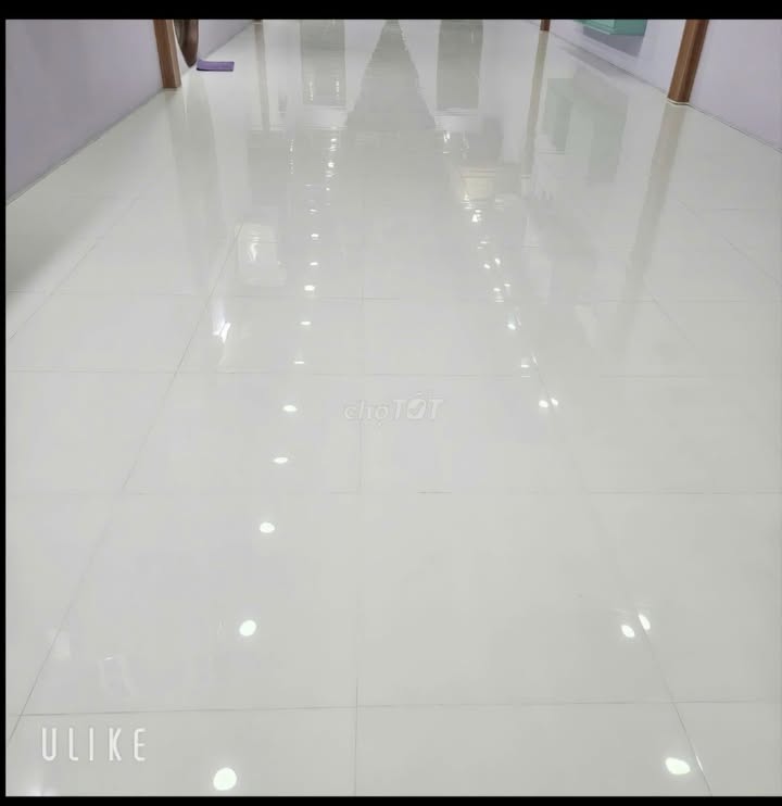 Cho thuê quán cafe mặt bằng lớn 1000m² tại Phạm Cự Lượng, Mỹ Quý - Hoạt động ngay!