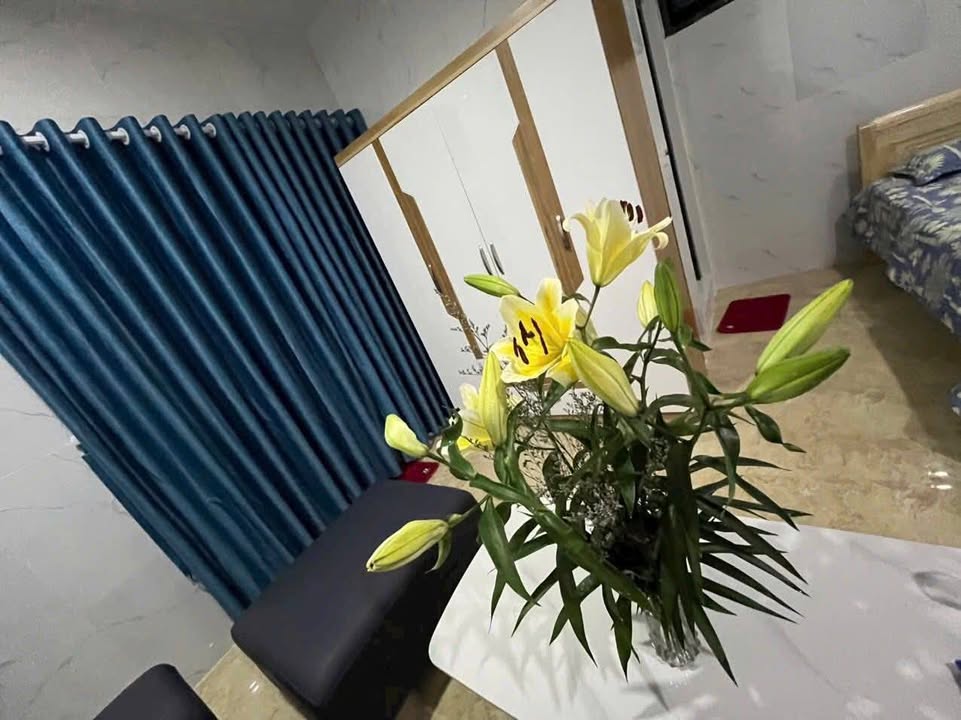 Căn hộ 494m² tại Đà Nẵng giá 9 tỷ - Chính chủ bán, thu nhập ổn định 45 triệu/tháng!