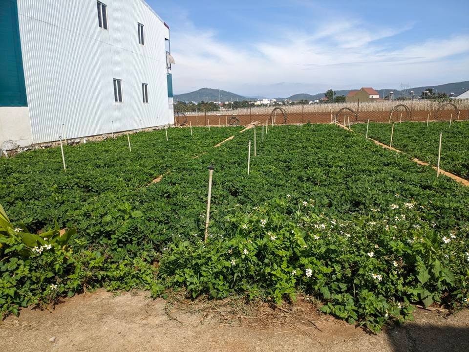 Đất nền hẻm bê tông gần Hồ Nam Sơn, Liên Nghĩa 70m² - Sổ hồng chính chủ 1.6 tỷ!