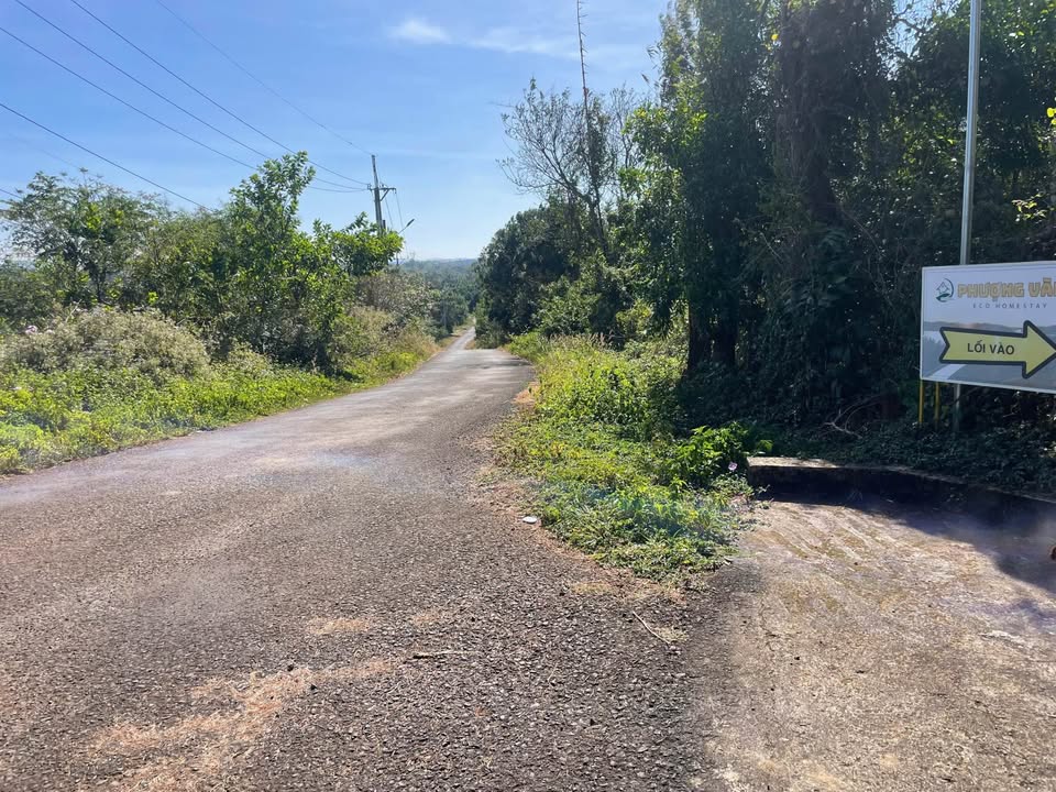 Đất nền Nghĩa Phú, Gia Nghĩa 1440m² giá 2.5 tỷ - Sổ đỏ chính chủ, view hồ tuyệt đẹp!