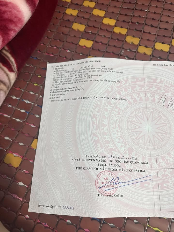 Lô đất mặt tiền đường tỉnh lộ 624 Bình Sơn 271m² - Giá tốt, đầu tư sinh lời!