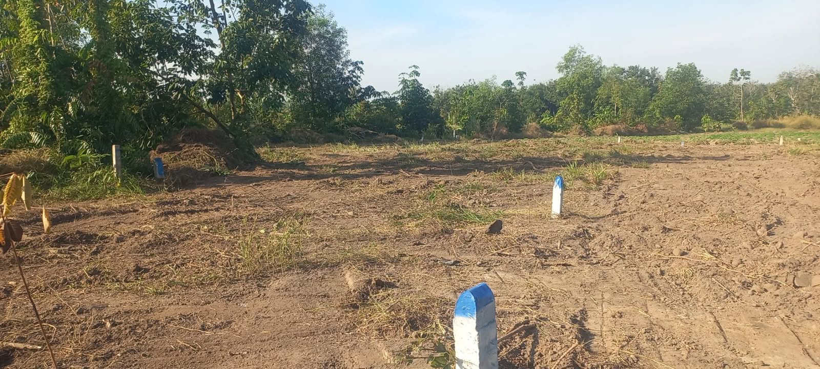 Đất nông nghiệp 2000m² tại Kp Tân Hòa, Bình Minh, Tây Ninh - Giá chỉ 500 triệu!