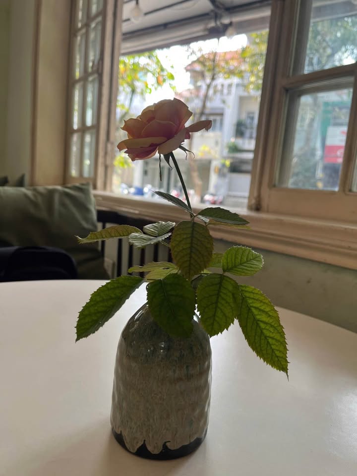 Nhà riêng Nguyễn Phúc Nguyên, Huế 56m² giá 1.55 tỷ - Ô tô gần nhà!