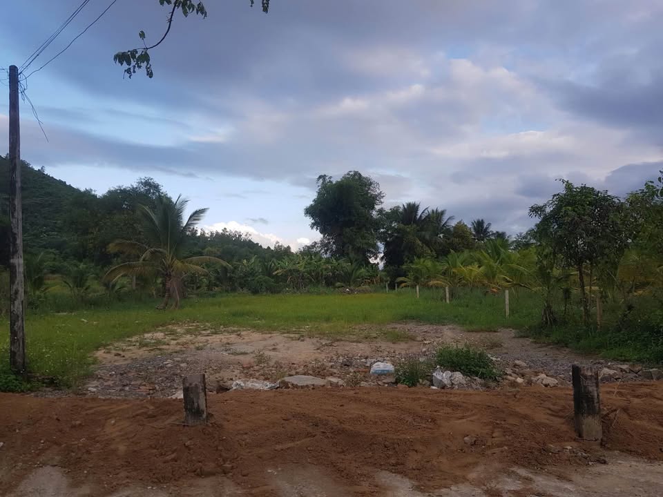 Bán đất thổ cư 498,7m² tại Ninh Tân, Ninh Hòa - Giá chỉ 1,995 tỷ!