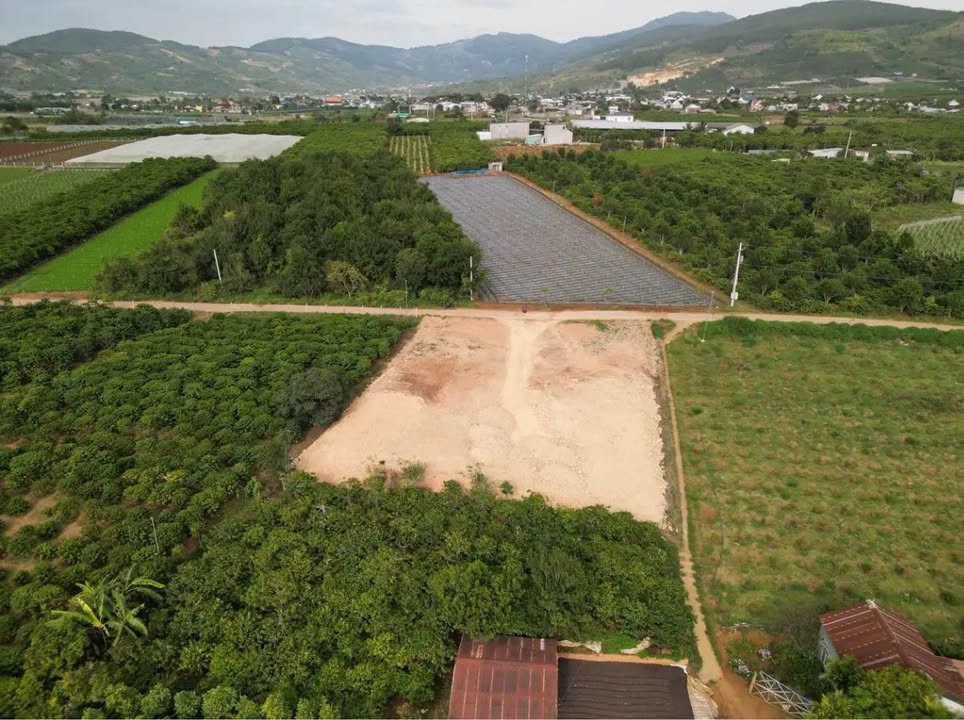 Đất thổ cư 250m² tại Liên Nghĩa, Đức Trọng giá chỉ 1,1 tỷ - Đầu tư sinh lời ngay!