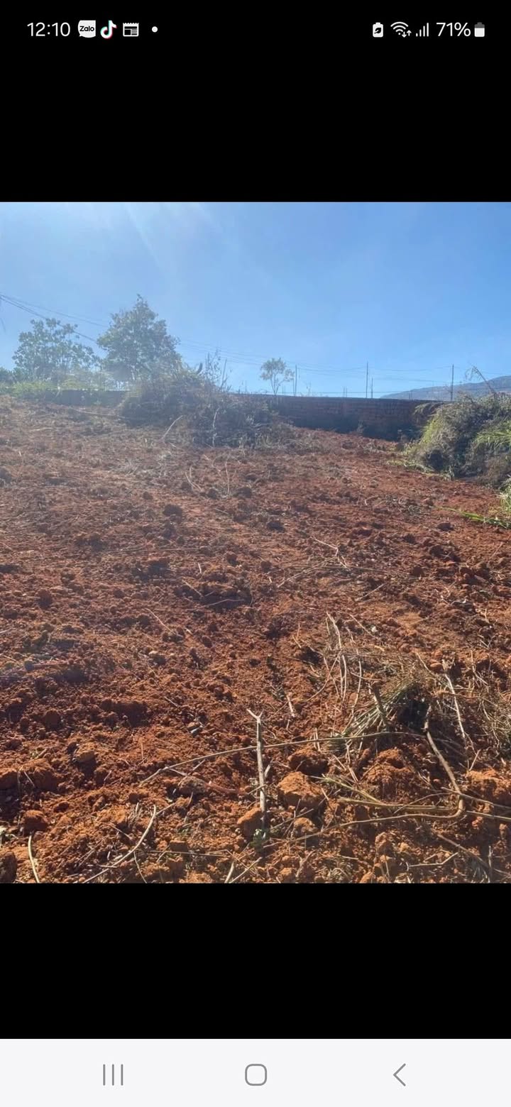 Cho thuê Farm 9 sào đất đỏ tại Đông Thanh, Lâm Hà - Giá chỉ 50 triệu/năm!