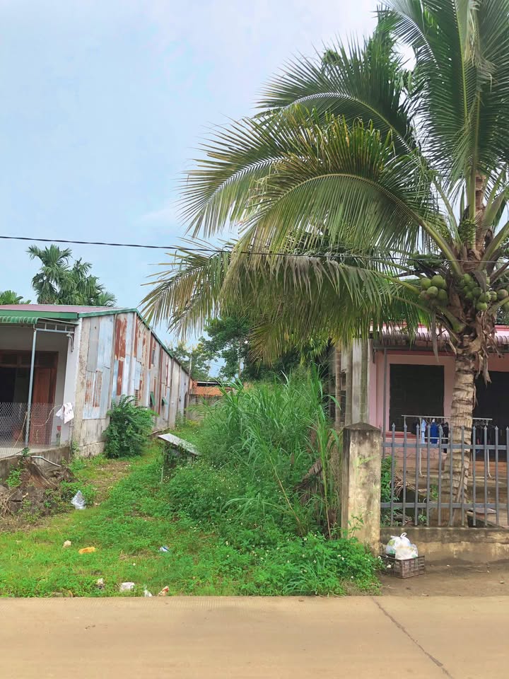 Đất thổ cư Ea Ktur, Cư Kuin 181m² giá chỉ 1.236 tỷ - Đầu tư sinh lời ngay!