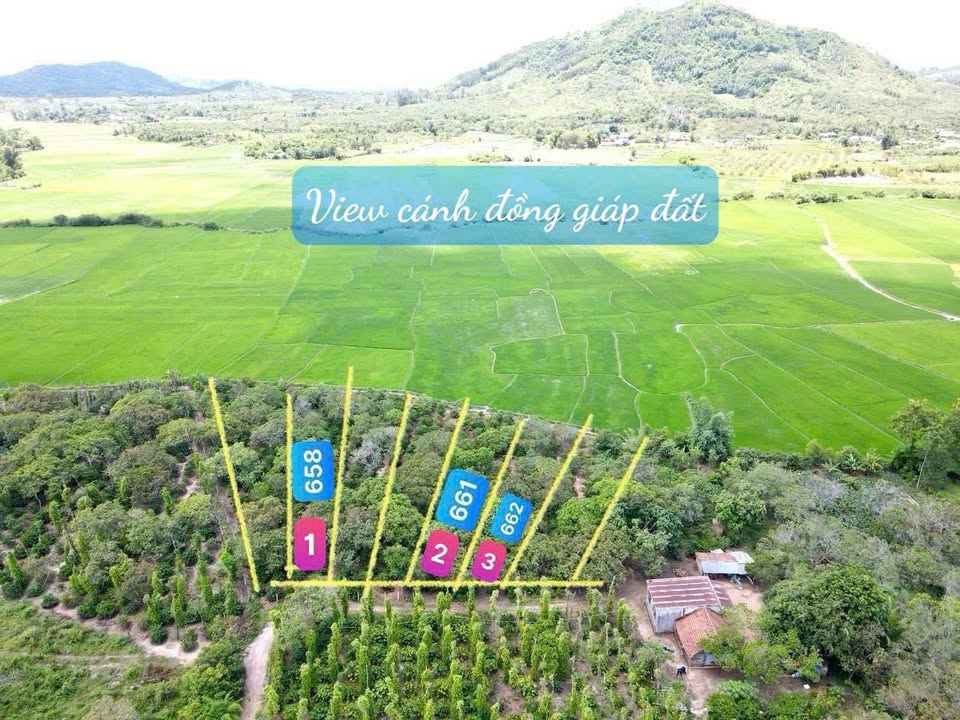 Đất nền Cư Êwi, Cư Kuin 642m² giá 249 triệu - Sở hữu ngay vị trí mộng mơ!